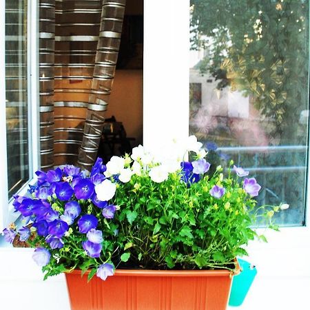 Apartment 5 Min By Walk To The Center Brno Buitenkant foto