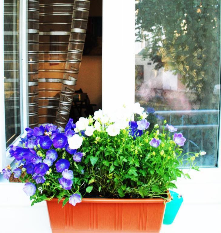 Apartment 5 Min By Walk To The Center Brno Buitenkant foto